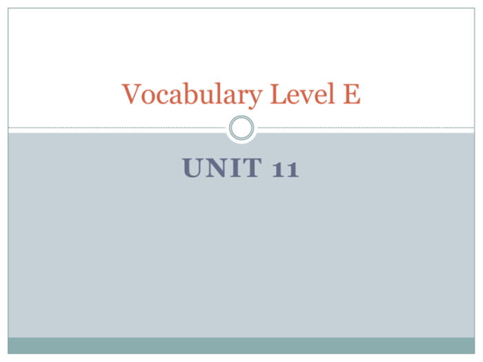 Unit 8 vocabulary level e