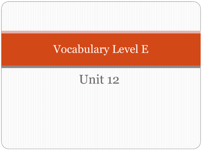 Unit 8 vocabulary level e