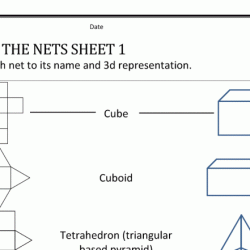 Surface area using nets worksheet