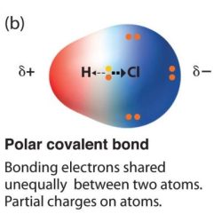 Polar and nonpolar molecules pogil