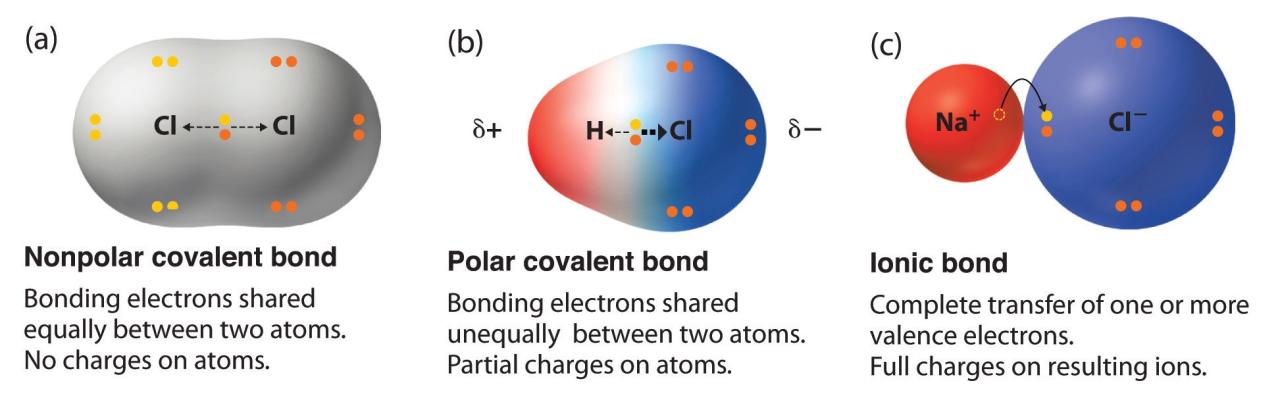 Polar and nonpolar molecules pogil