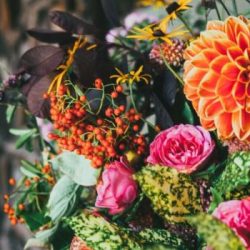 Louisiana florist license study guide