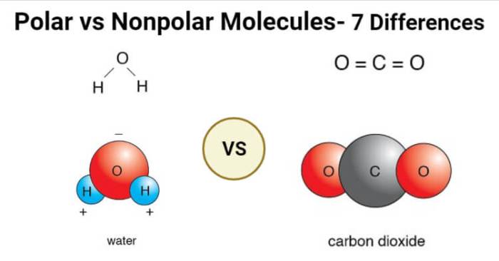 Polar and nonpolar molecules pogil