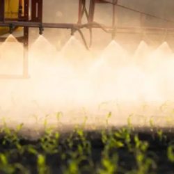 Illinois pesticide applicator test answers