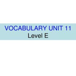 Unit 8 vocabulary level e