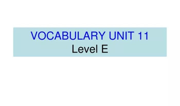 Unit 8 vocabulary level e