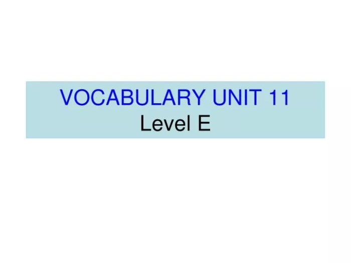 Unit 8 vocabulary level e