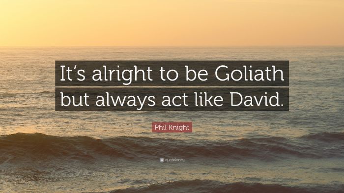 Quotes on david and goliath