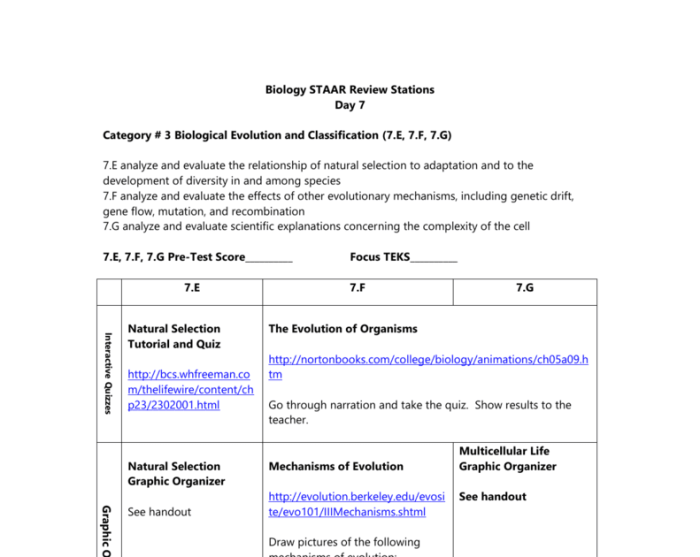 Amoeba sisters carbon and nitrogen cycle worksheet answer key