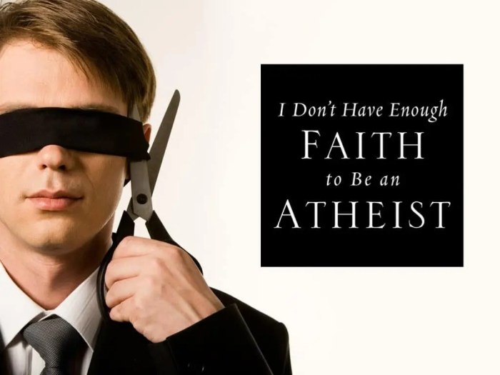 I don't have enough faith to be an atheist summary